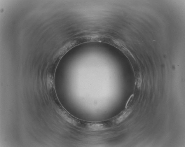 X0000071860476200607141820