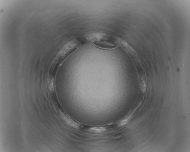 X0000071860477200607141820