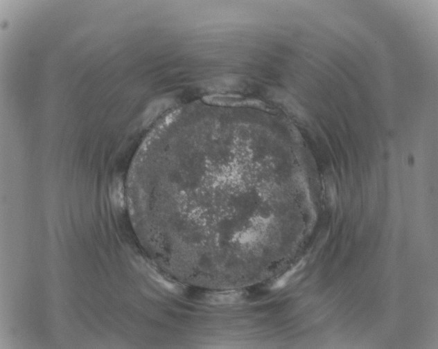 X0000071860479200607141820