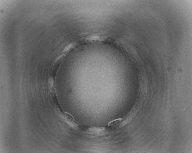 X0000071860480200607141820