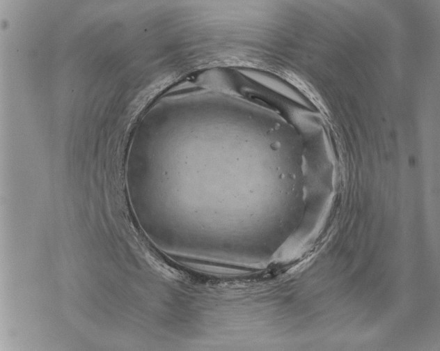 X0000071860481200607141819