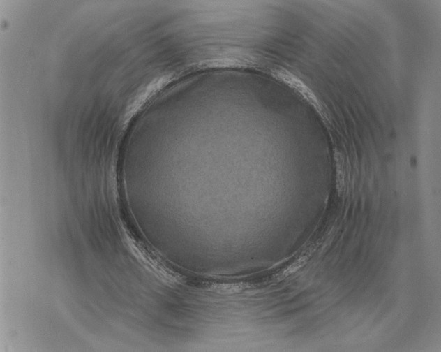 X0000071860482200607141819