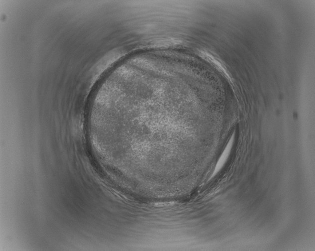 X0000071860483200607141819