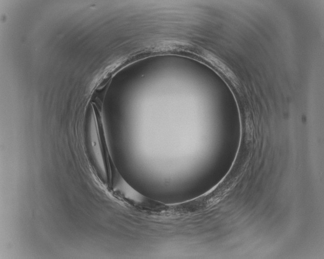 X0000071860485200607141819