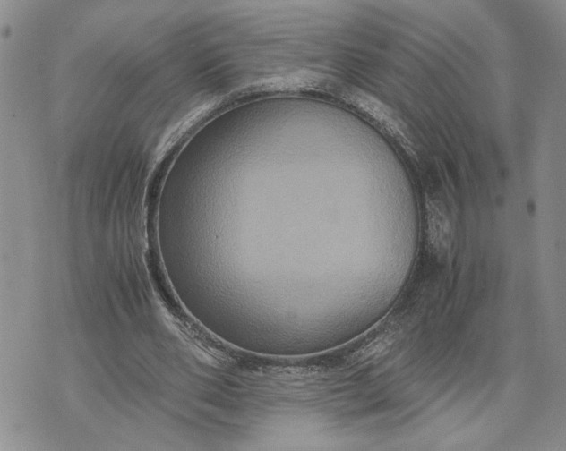 X0000071860486200607141819