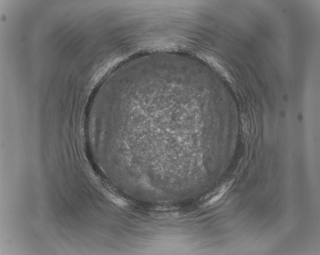 X0000071860487200607141819