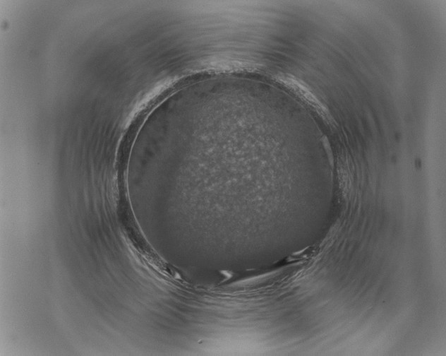 X0000071860488200607141819