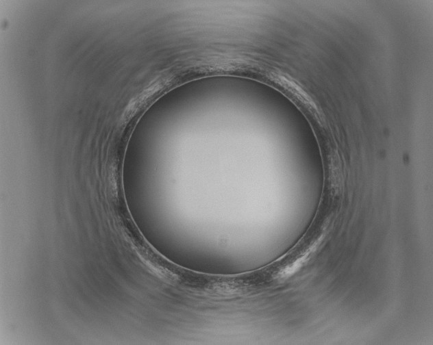 X0000071860489200607141819