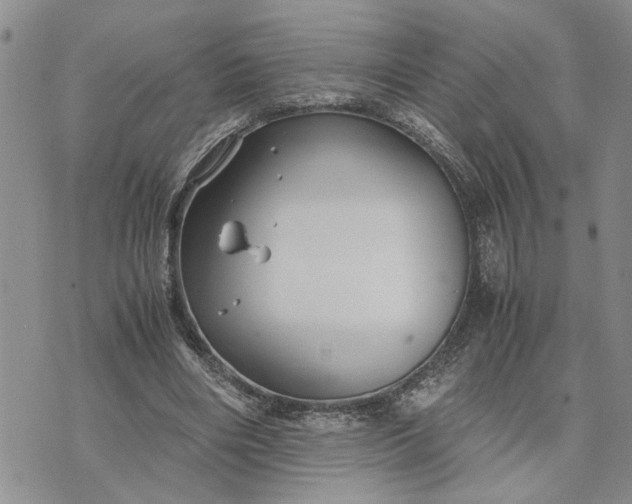 X0000071860490200607141819