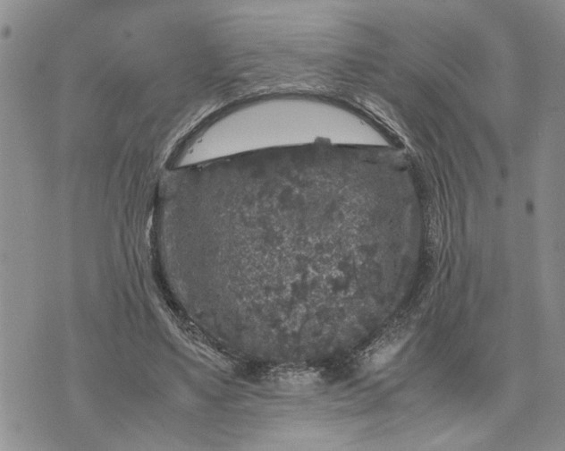 X0000071860491200607141819