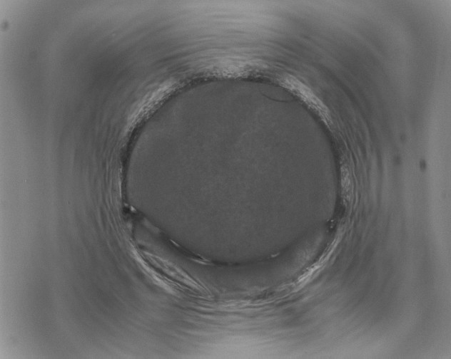 X0000071860493200607141819