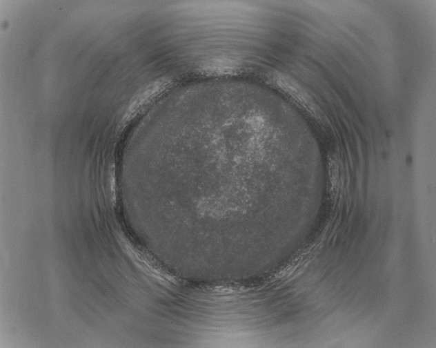 X0000071860494200607141819