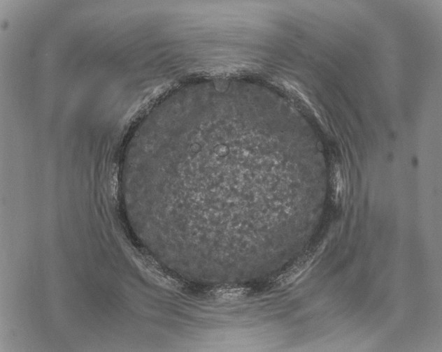 X0000071860495200607141819