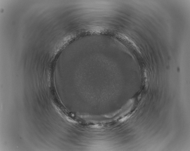 X0000071860496200607141819