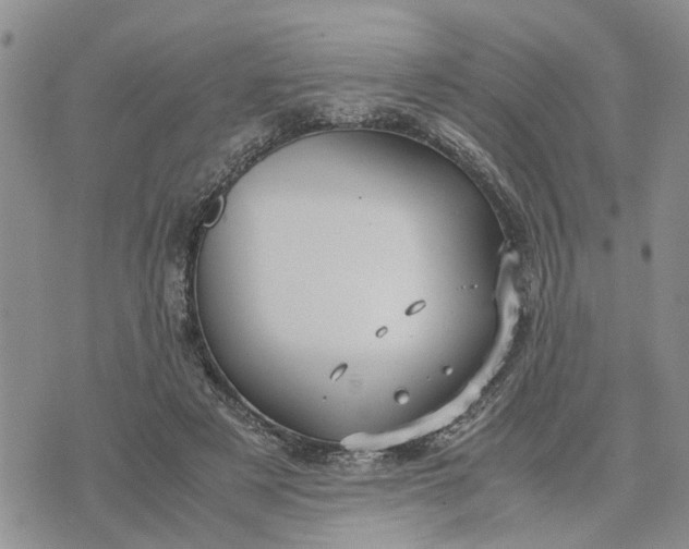 X0000071860497200607141819