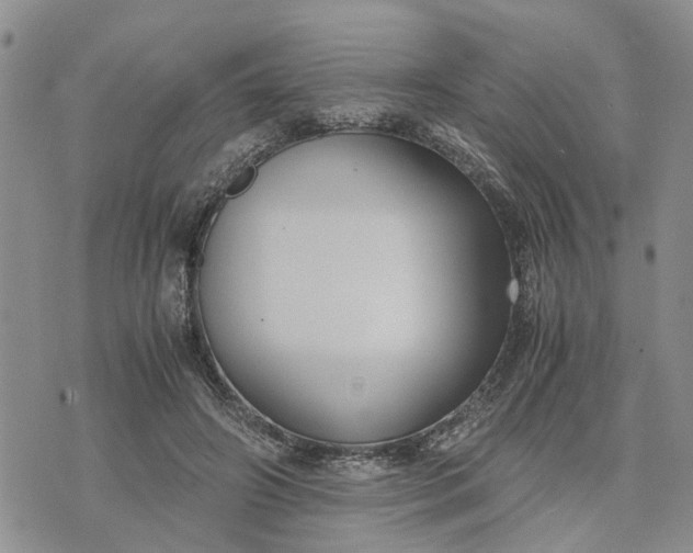 X0000071860498200607141819