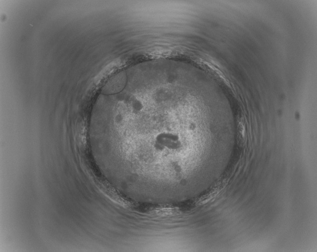 X0000071860499200607141819