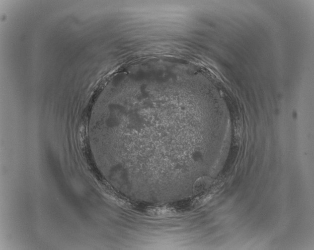 X0000071860503200607141818