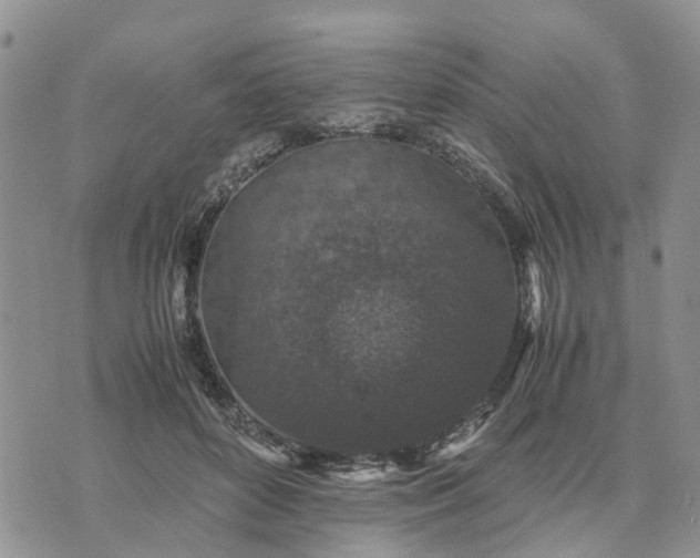 X0000071860504200607141818