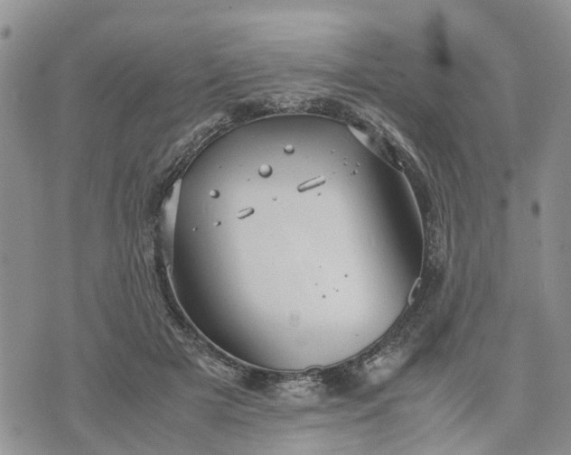 X0000071860505200607141818