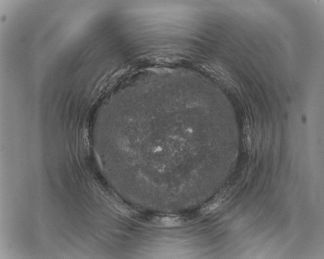 X0000071860506200607141818