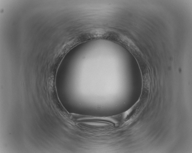 X0000071860509200607141818