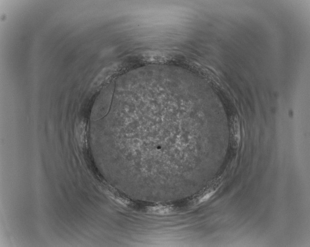 X0000071860511200607141818