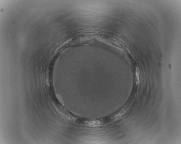 X0000071860512200607141818