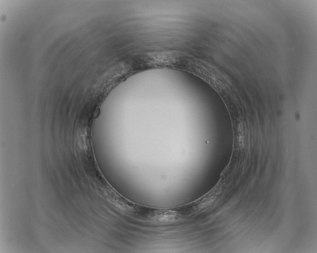 X0000071860514200607141818