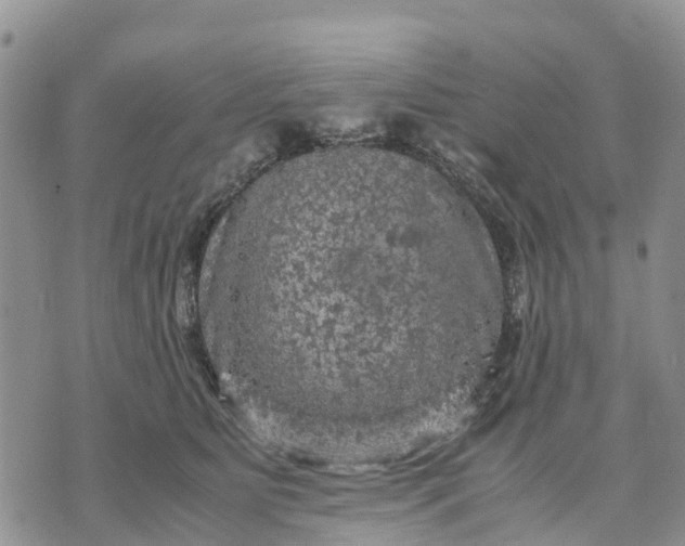 X0000071860515200607141818