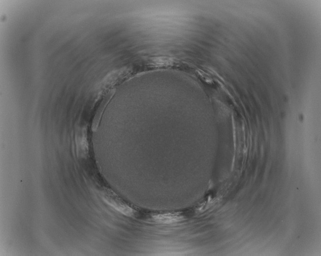 X0000071860516200607141818