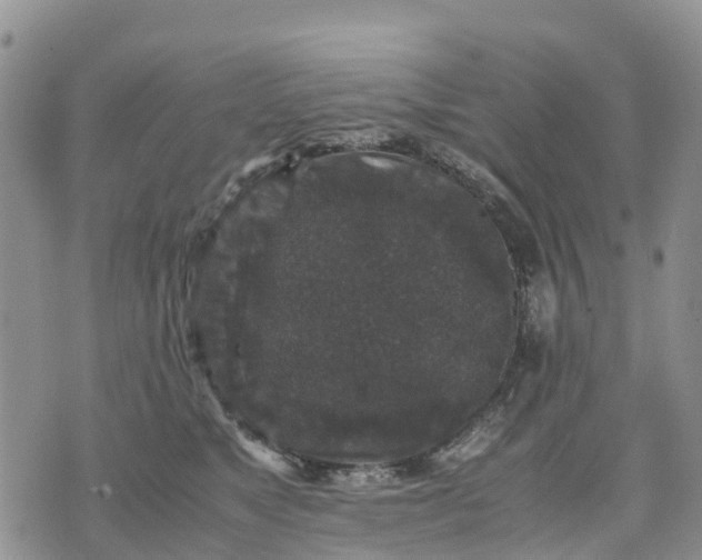 X0000071860517200607141818