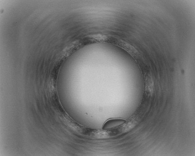 X0000071860518200607141818