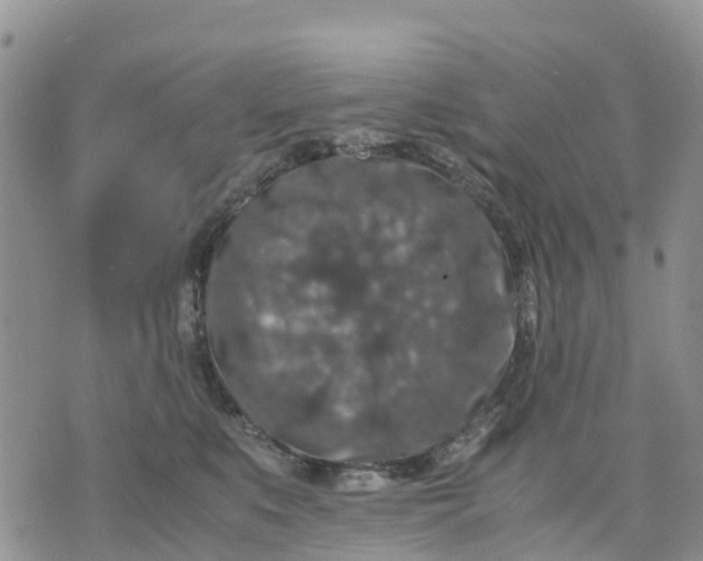 X0000071860519200607141818