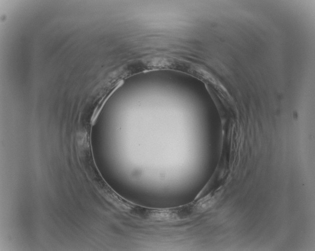 X0000071860521200607141818