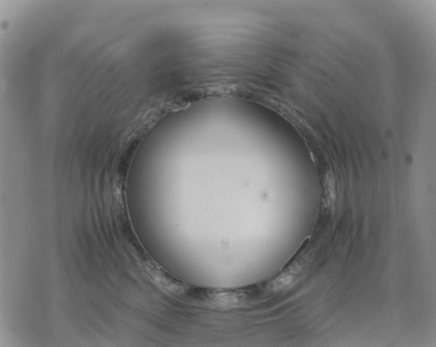 X0000071860522200607141818