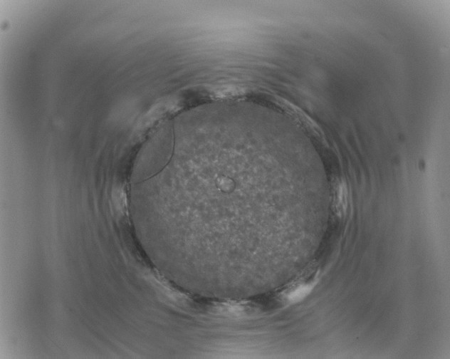 X0000071860523200607141818