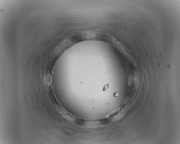 X0000071860525200607141818