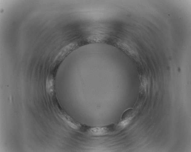 X0000071860526200607141818