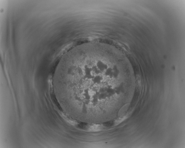 X0000071860527200607141818