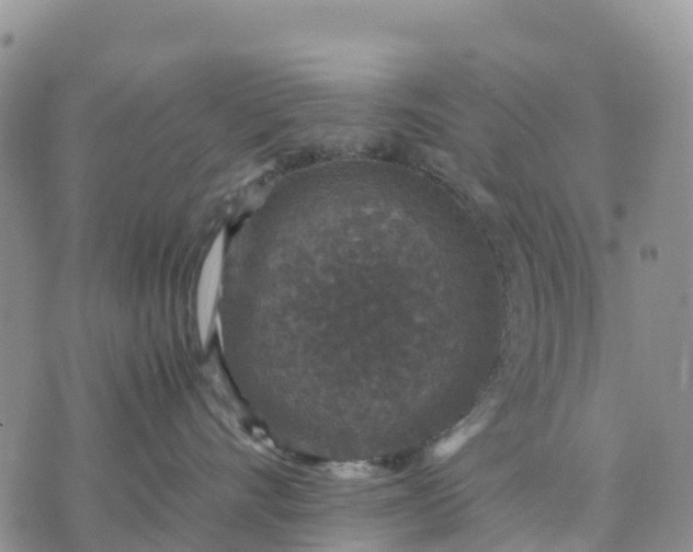 X0000071860528200607141818