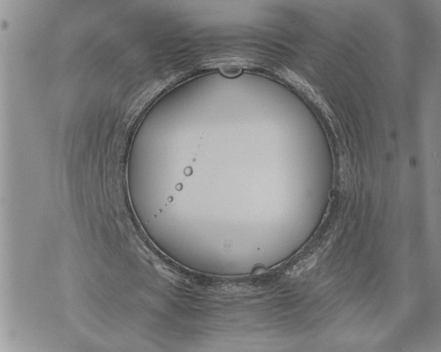 X0000071860529200607141817