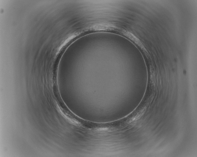 X0000071860530200607141817