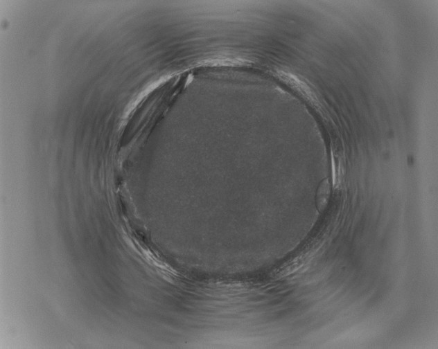 X0000071860531200607141817