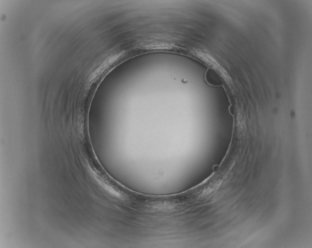 X0000071860533200607141817