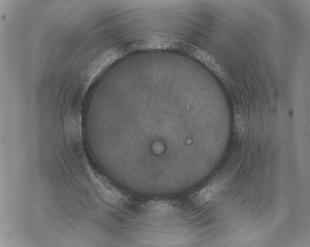 X0000071860534200607141817