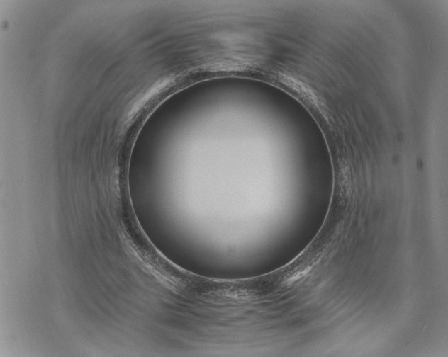 X0000071860535200607141817