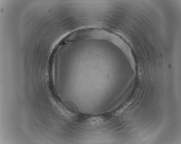 X0000071860536200607141817