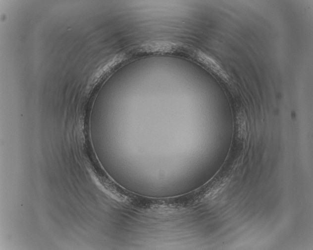 X0000071860538200607141817