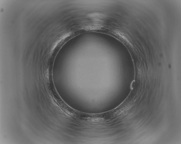 X0000071860539200607141817